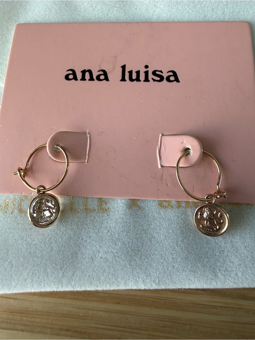 Ana Luisa Gold Coin Charm Hoop Earrings